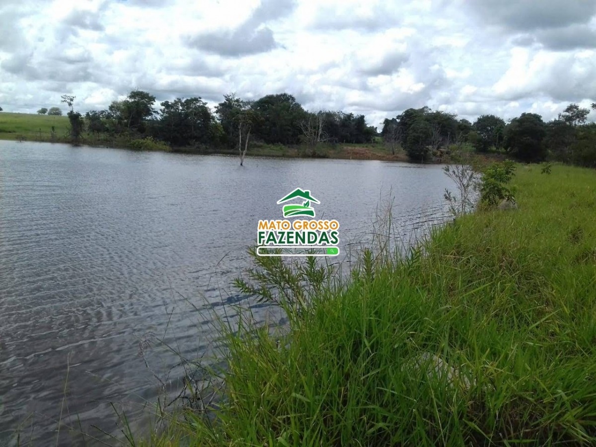 Mato Grosso Fazendas Hectares Em Canarana Mt