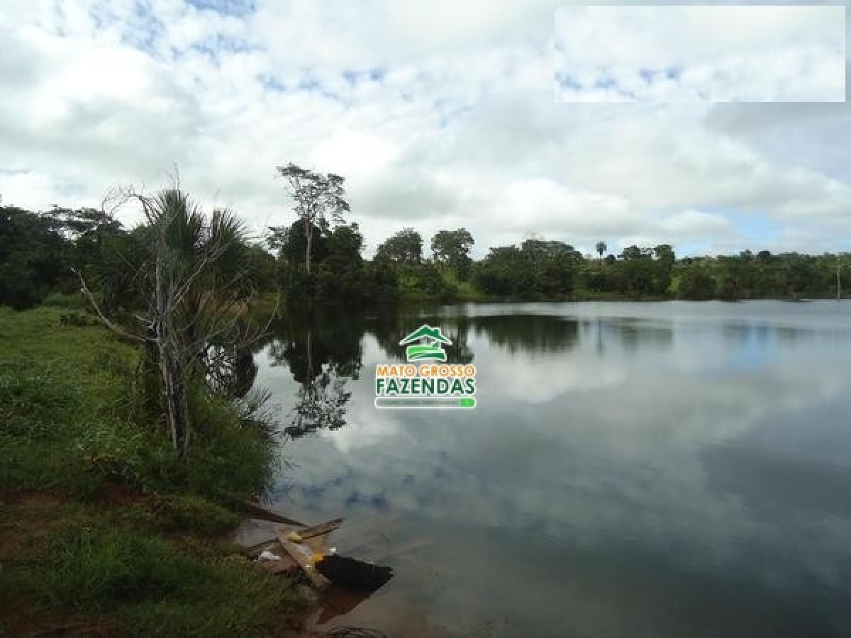 Mato Grosso Fazendas Fazenda em Ribeirão Cascalheira MT 484 Hectares