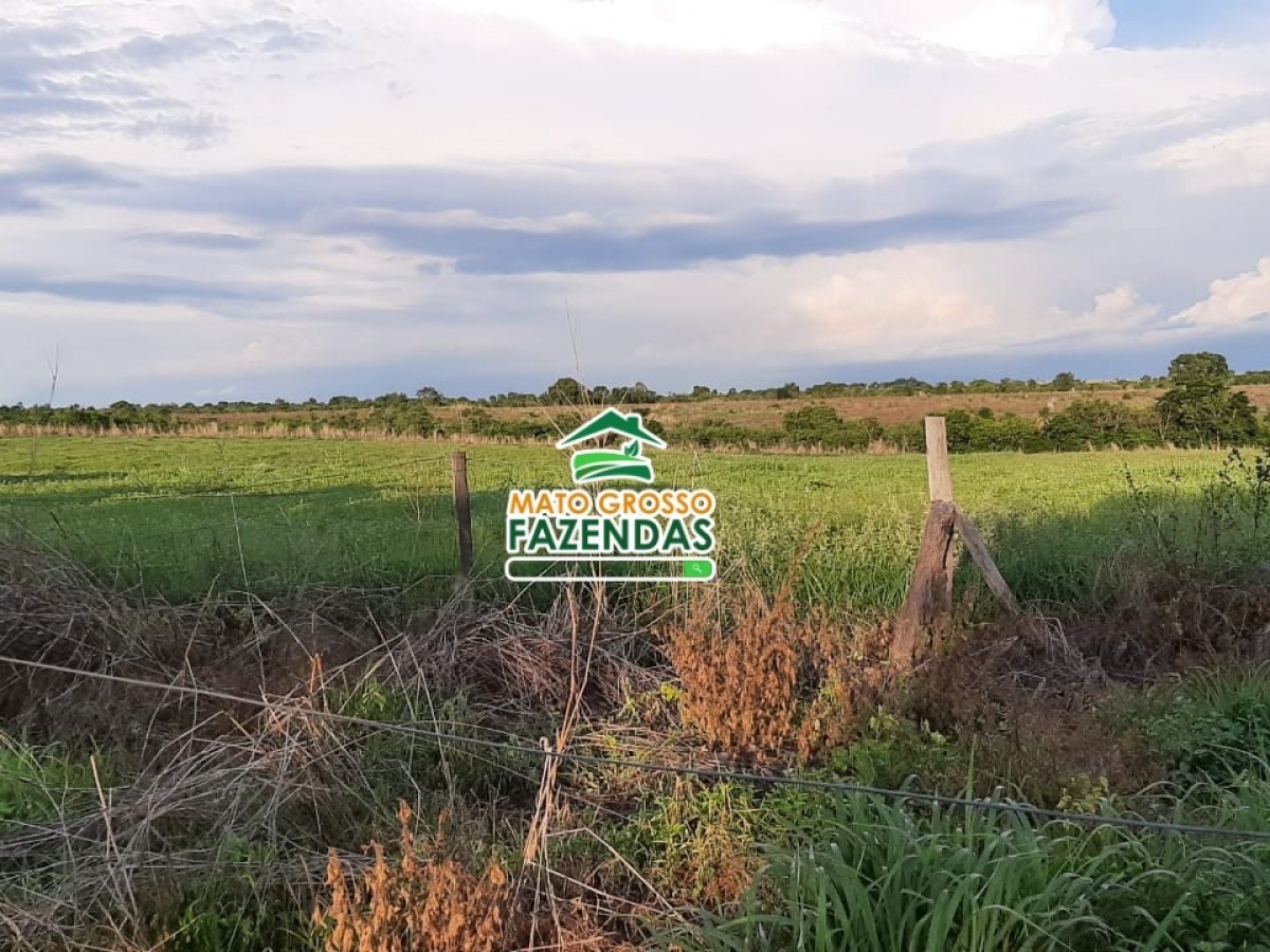 Mato Grosso Fazendas Fazenda Em Gua Boa Mt Hectares