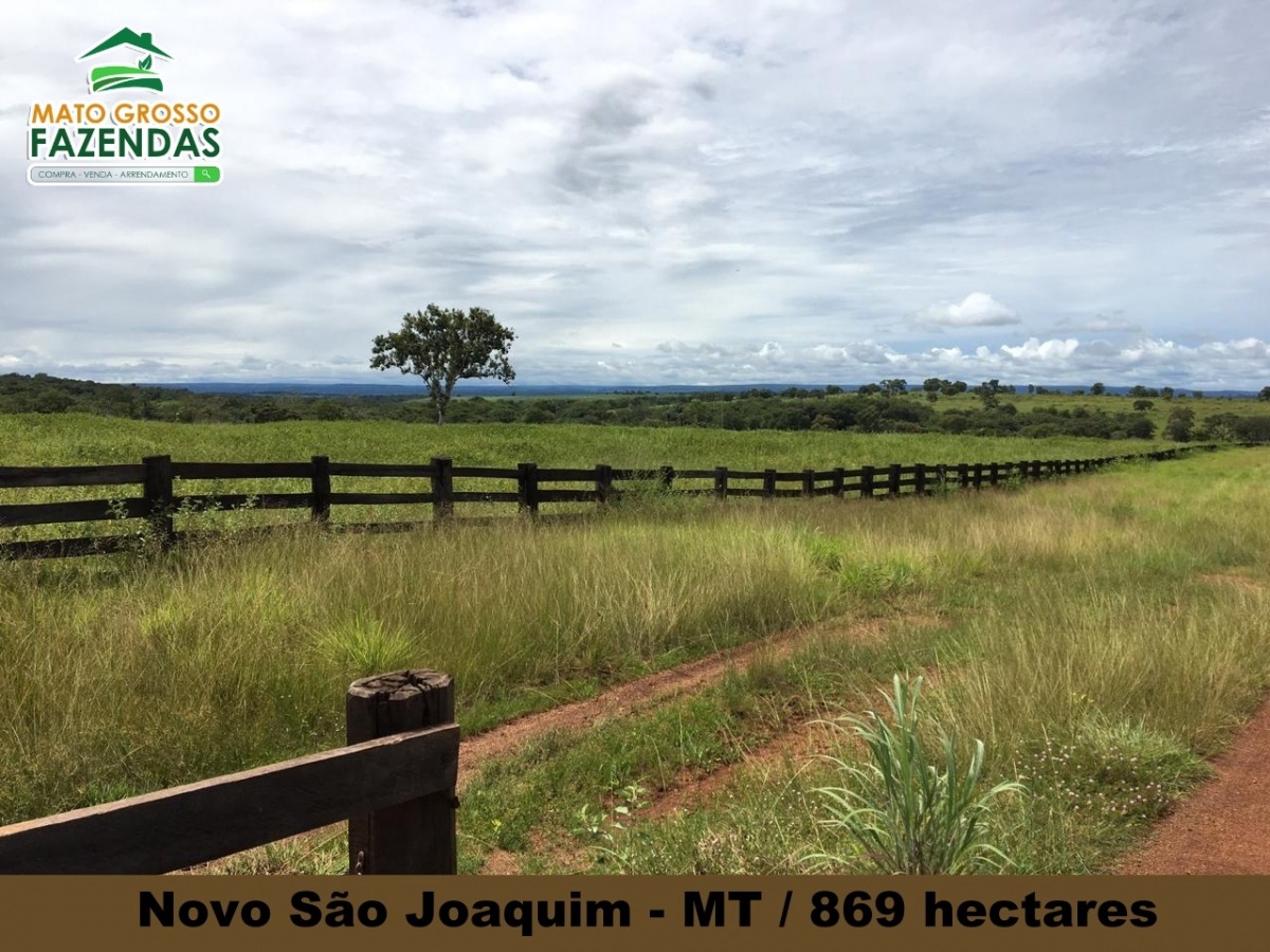 Mato Grosso Fazendas Fazenda No Munic Pio De Novo S O Joaquim Mt