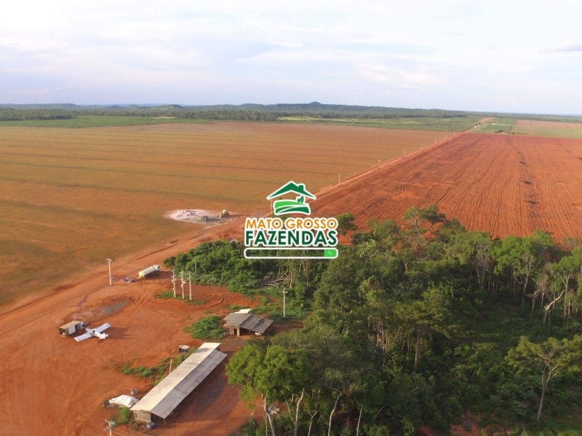 Mato Grosso Fazendas Mil Hectares Ribeir O Cascalheira Mt