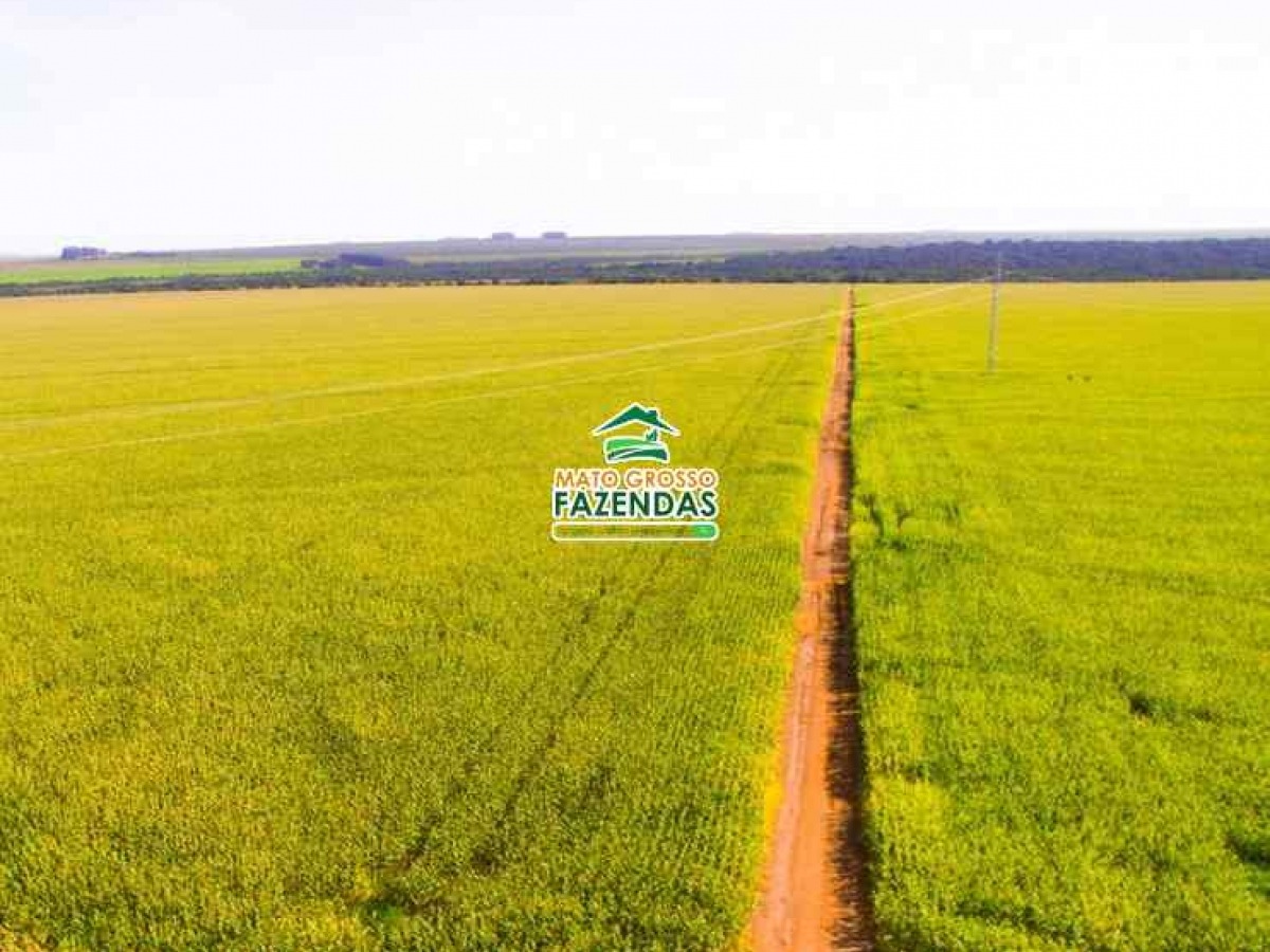 Mato Grosso Fazendas Hectares Em Alto Taquari Mt