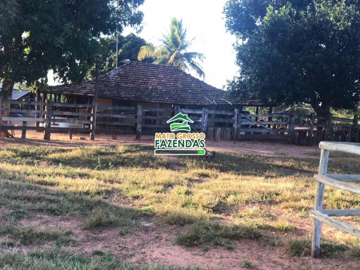 Mato Grosso Fazendas Oportunidade Fazenda Top 600 Hectares