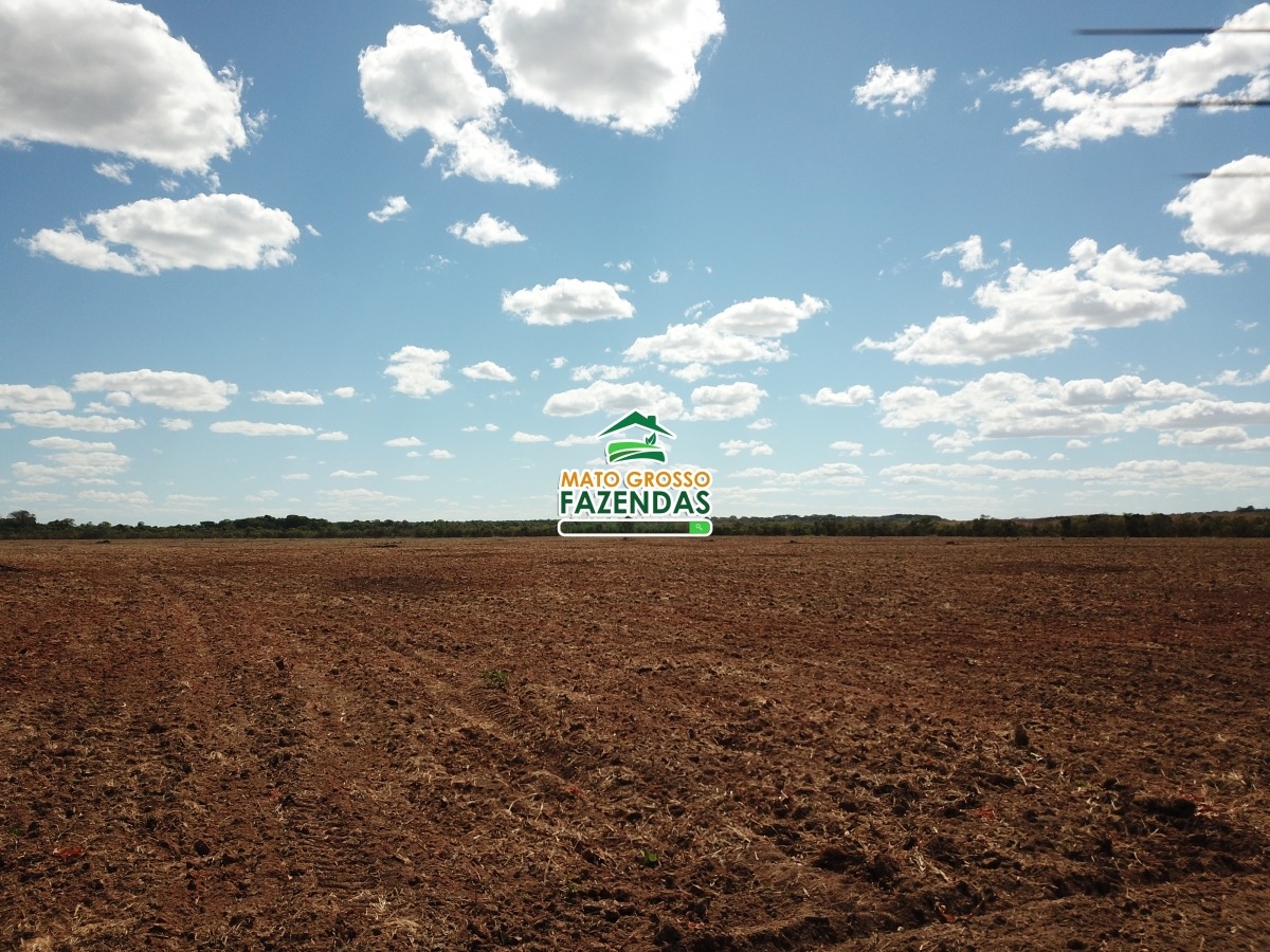 Mato Grosso Fazendas Arrendamento Agr Cola Em Canarana Mt