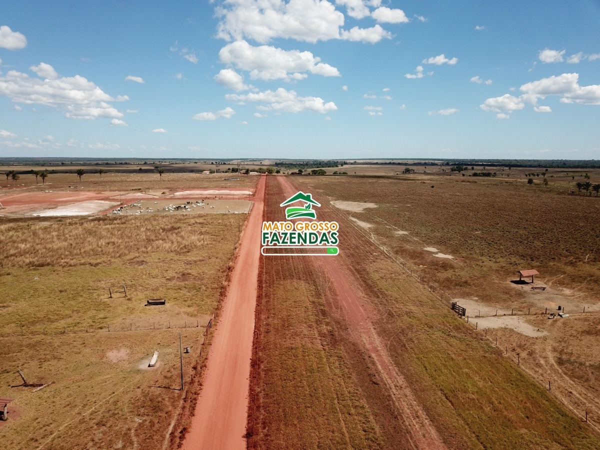 Mato Grosso Fazendas -Arrendamento Agrícola em Santa Cruz do Xingú - MT