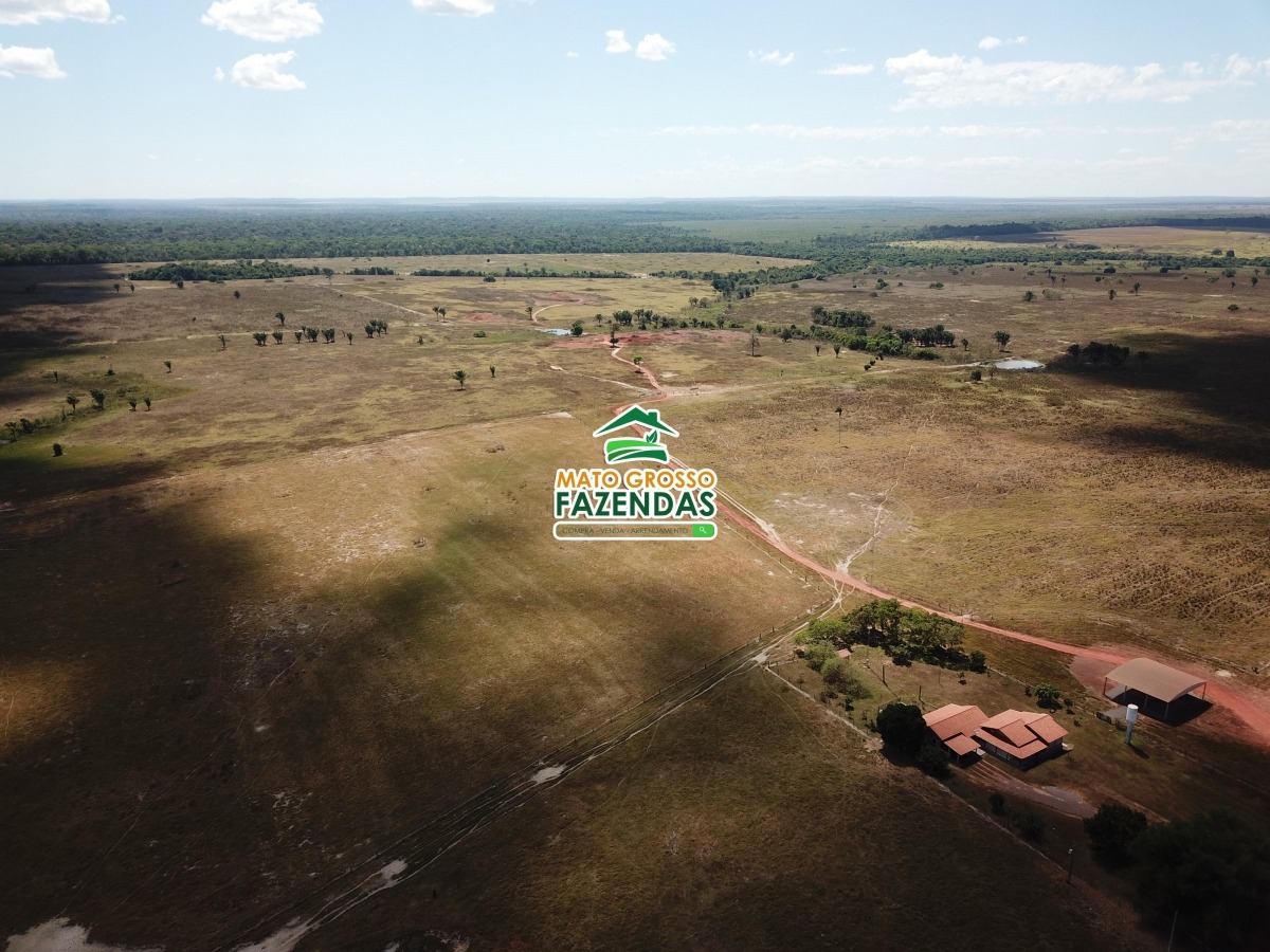 Mato Grosso Fazendas -Arrendamento Agrícola em Santa Cruz do Xingú - MT