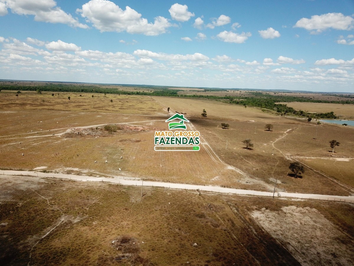 Mato Grosso Fazendas -Arrendamento Agrícola em Santa Cruz do Xingú - MT