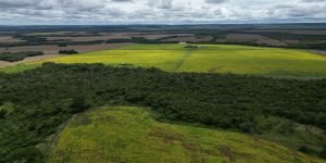 DJI_0029