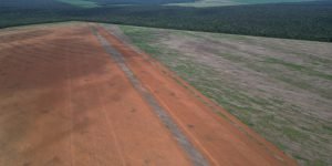 DJI_0443
