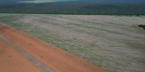 DJI_0444