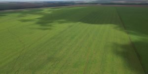 DJI_0555