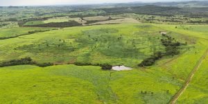 DJI_20260116184946_0035_D