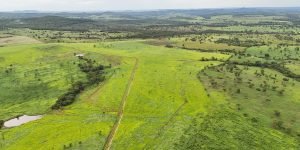 DJI_20260116184952_0037_D