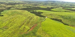 DJI_20260116184955_0038_D