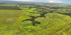 DJI_20260116184957_0039_D