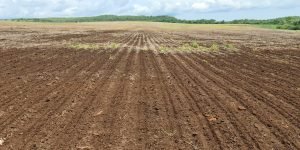 WhatsApp-Image-2021-11-12-at-18.43.53-1