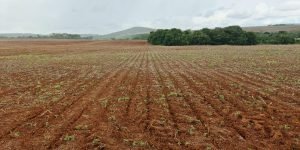 WhatsApp-Image-2021-11-12-at-18.43.53