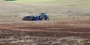 WhatsApp-Image-2021-11-12-at-18.43.55