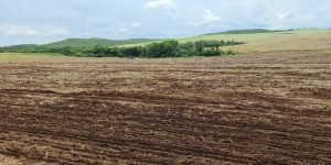 WhatsApp-Image-2021-11-12-at-18.43.56