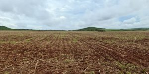 WhatsApp-Image-2021-11-12-at-18.43.57