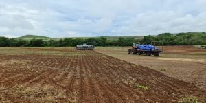 WhatsApp-Image-2021-11-12-at-18.43.58